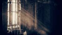 Quelle: Quelle: unsplash.com/@redaquamedia